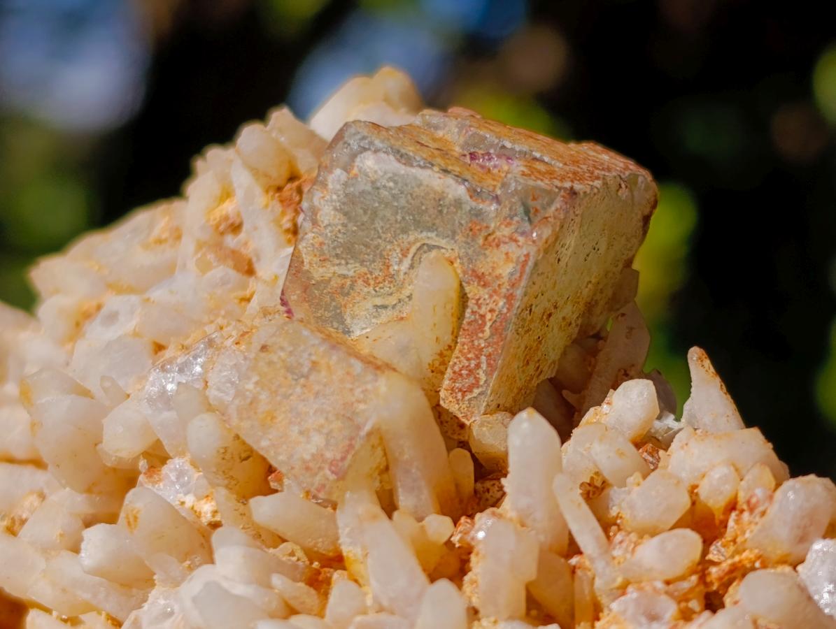 Natural Cubic Fluorite Specimens with Sprays of Acicular Quartz x 12 From Khorixas, Namibia - Toprock Gemstones and Minerals 