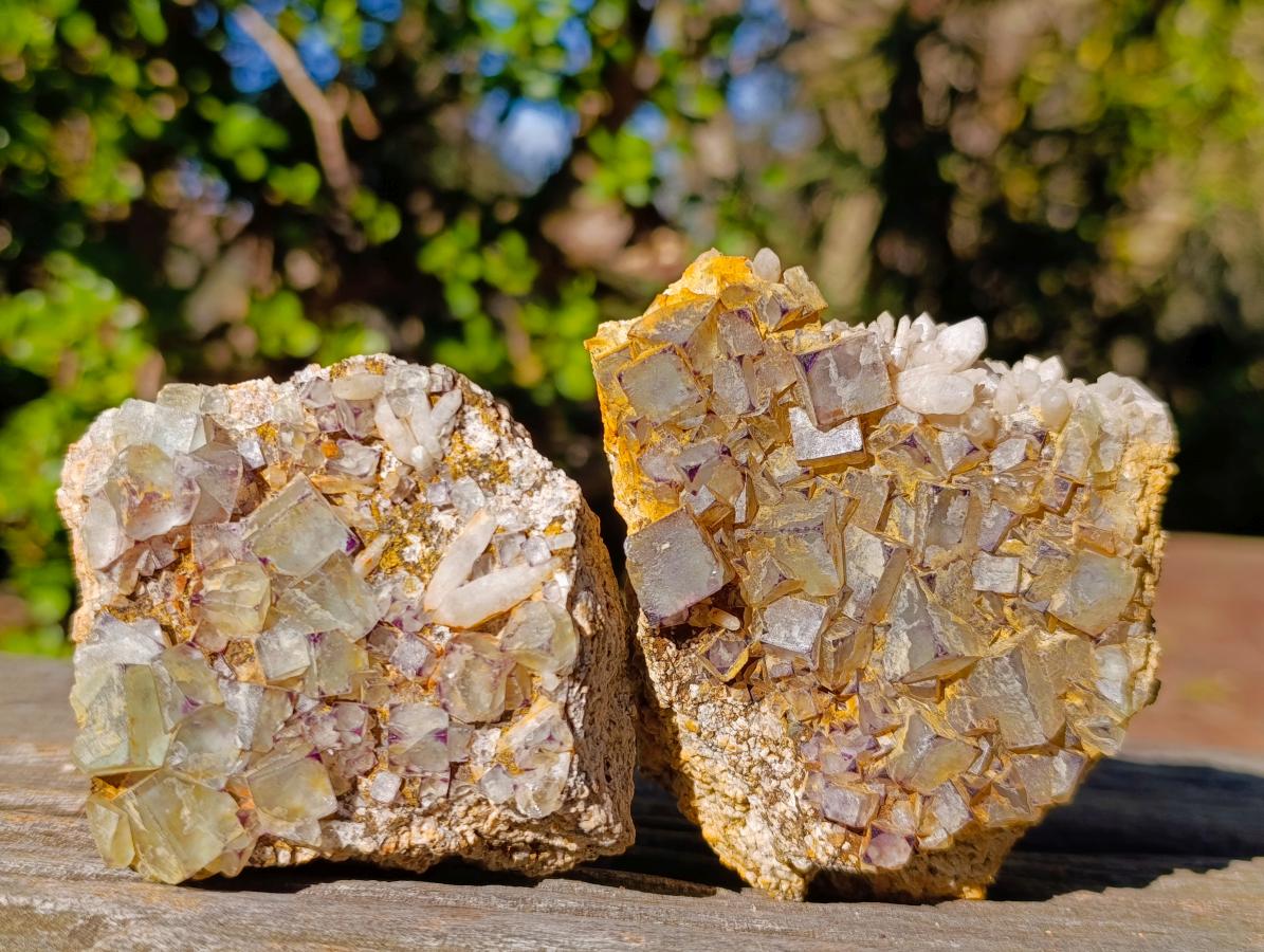 Natural Cubic Fluorite Specimens with Sprays of Acicular Quartz x 12 From Khorixas, Namibia - Toprock Gemstones and Minerals 