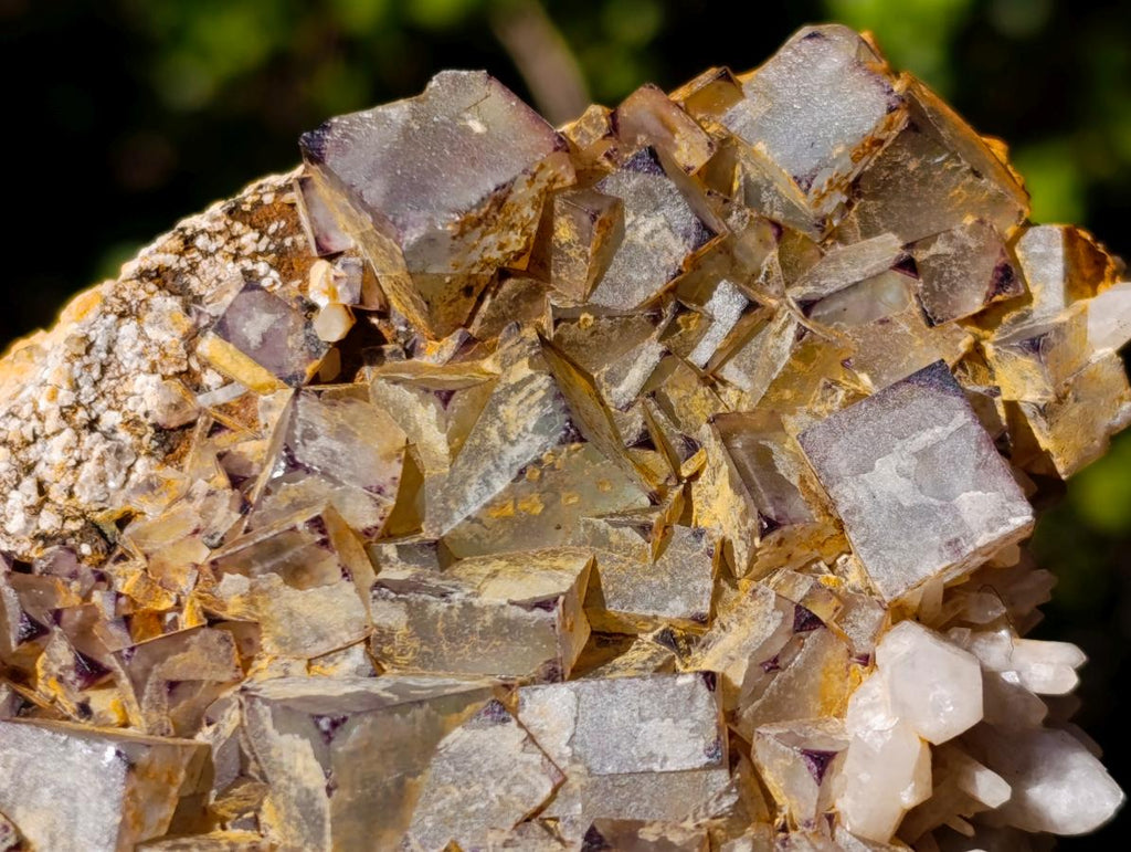 Natural Cubic Fluorite Specimens with Sprays of Acicular Quartz x 12 From Khorixas, Namibia - Toprock Gemstones and Minerals 