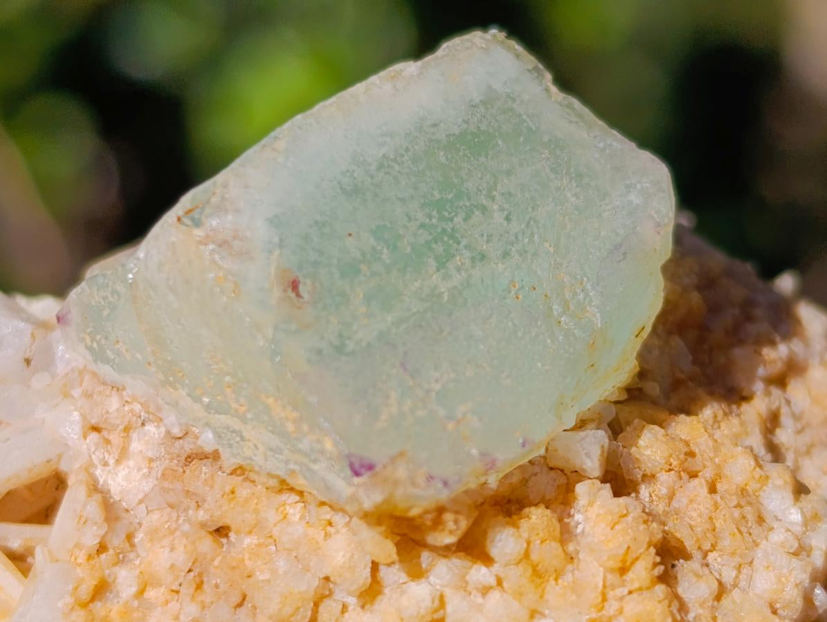 Natural Cubic Fluorite Specimens with Sprays of Acicular Quartz x 12 From Khorixas, Namibia - Toprock Gemstones and Minerals 