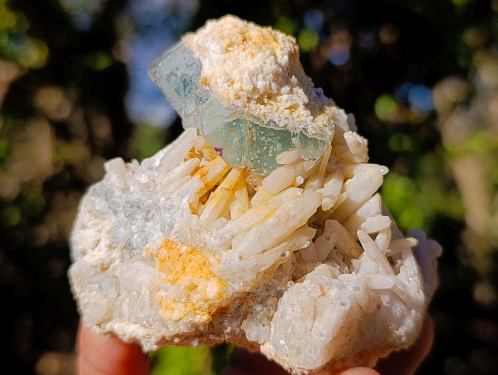 Natural Cubic Fluorite Specimens with Sprays of Acicular Quartz x 12 From Khorixas, Namibia - Toprock Gemstones and Minerals 