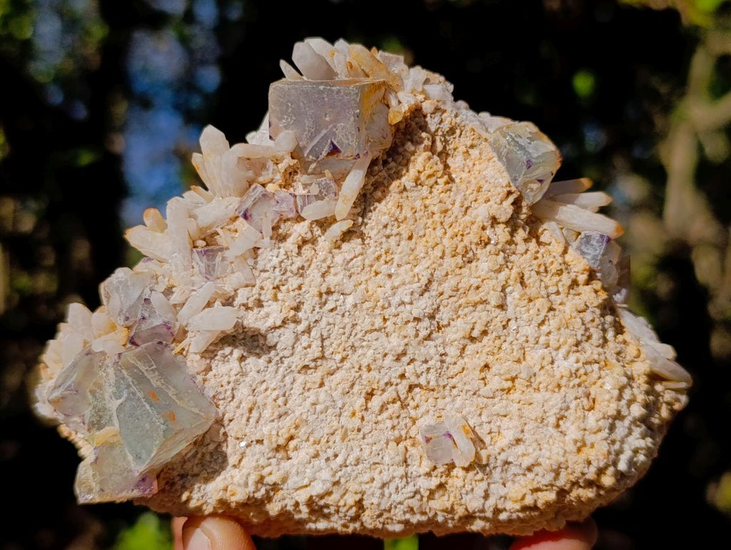 Natural Cubic Fluorite Specimens with Sprays of Acicular Quartz x 12 From Khorixas, Namibia - Toprock Gemstones and Minerals 