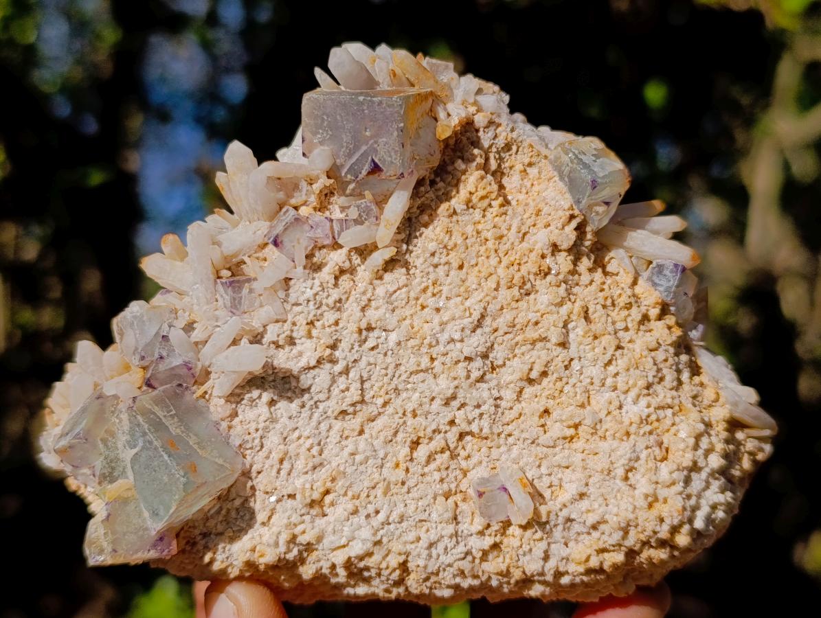 Natural Cubic Fluorite Specimens with Sprays of Acicular Quartz x 12 From Khorixas, Namibia - Toprock Gemstones and Minerals 