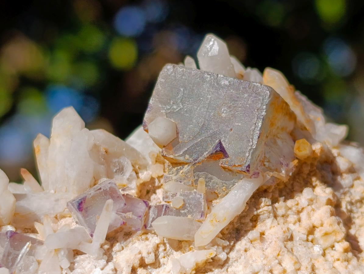 Natural Cubic Fluorite Specimens with Sprays of Acicular Quartz x 12 From Khorixas, Namibia - Toprock Gemstones and Minerals 
