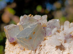 Natural Cubic Fluorite Specimens with Sprays of Acicular Quartz x 12 From Khorixas, Namibia - Toprock Gemstones and Minerals 