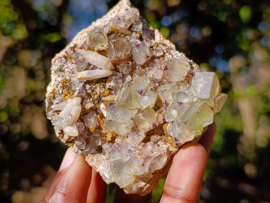 Natural Cubic Fluorite Specimens with Sprays of Acicular Quartz x 12 From Khorixas, Namibia - Toprock Gemstones and Minerals 