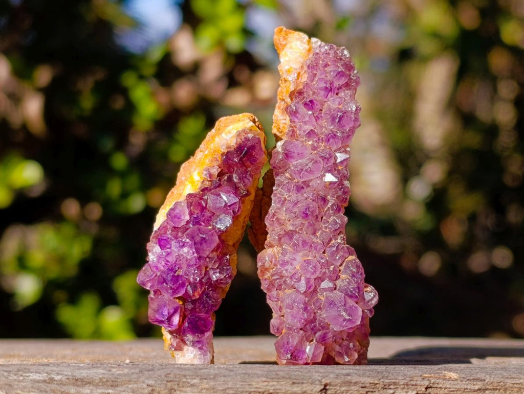 Natural Spirit Amethyst Clusters x 87 From Boekenhouthoek, South Africa - Toprock Gemstones and Minerals 