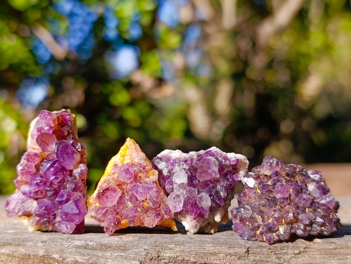 Natural Spirit Amethyst Clusters x 87 From Boekenhouthoek, South Africa - Toprock Gemstones and Minerals 