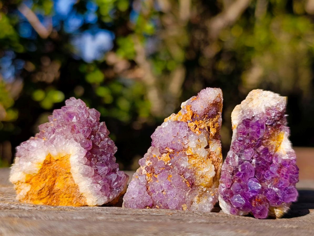 Natural Spirit Amethyst Clusters x 87 From Boekenhouthoek, South Africa - Toprock Gemstones and Minerals 