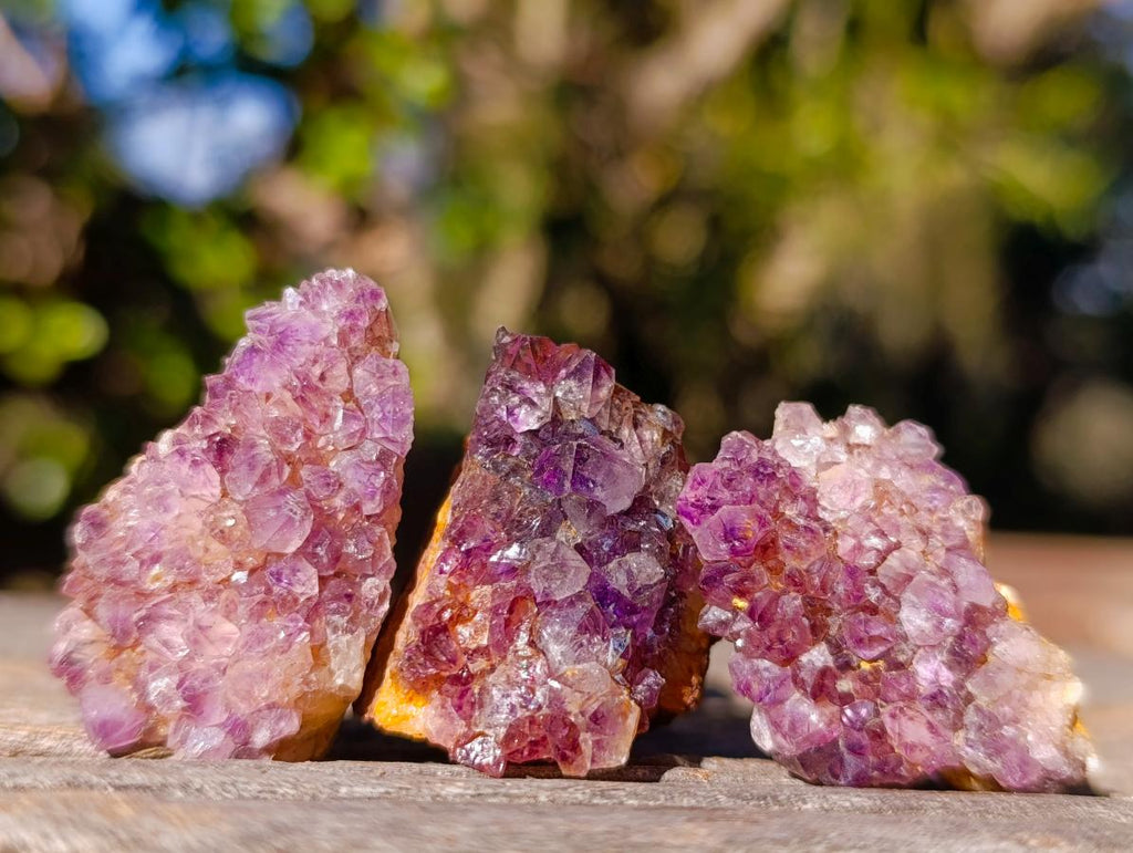Natural Spirit Amethyst Clusters x 87 From Boekenhouthoek, South Africa - Toprock Gemstones and Minerals 