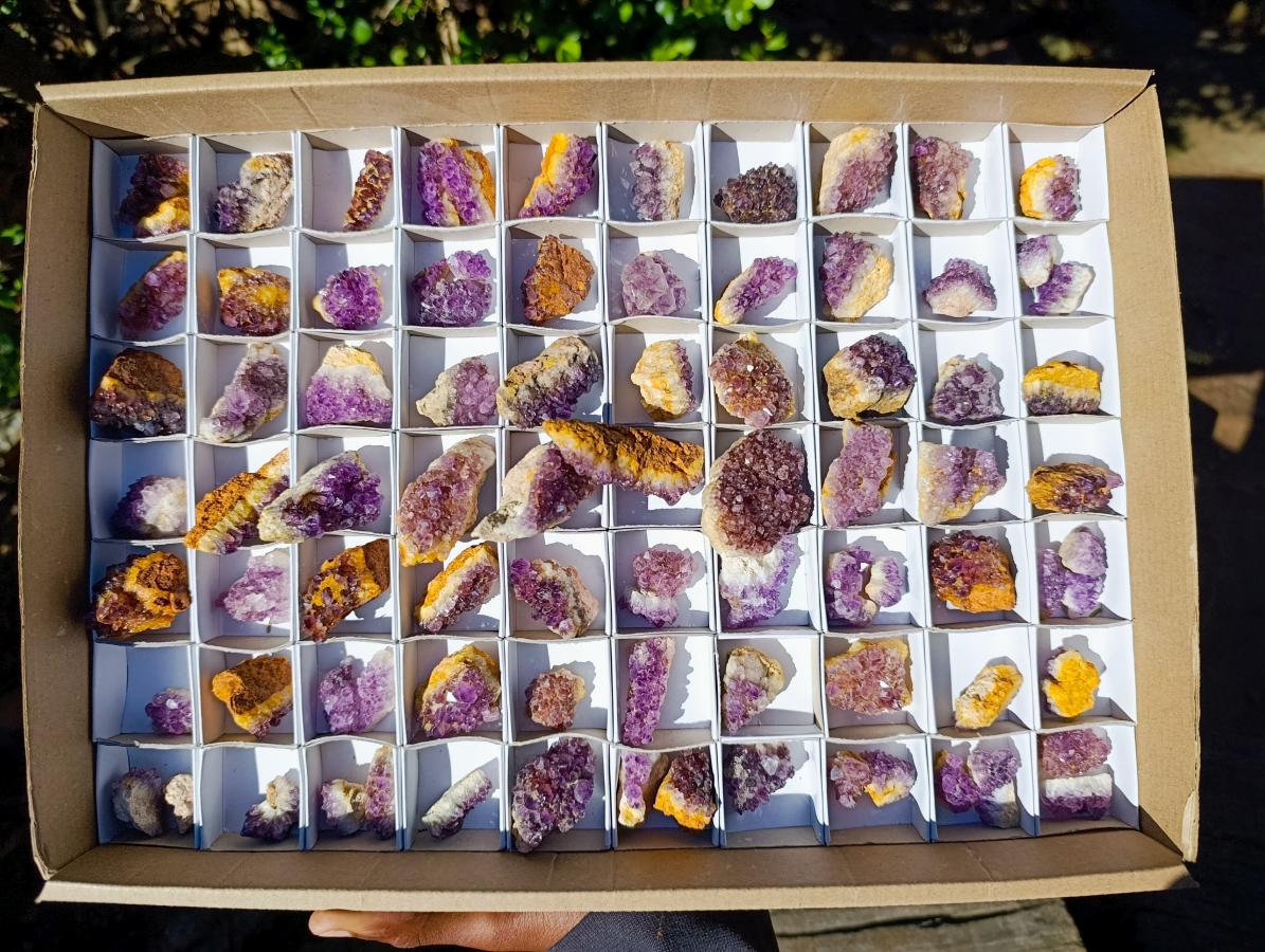Natural Spirit Amethyst Clusters x 87 From Boekenhouthoek, South Africa - Toprock Gemstones and Minerals 