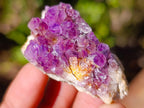 Natural Spirit Amethyst Clusters x 87 From Boekenhouthoek, South Africa - Toprock Gemstones and Minerals 