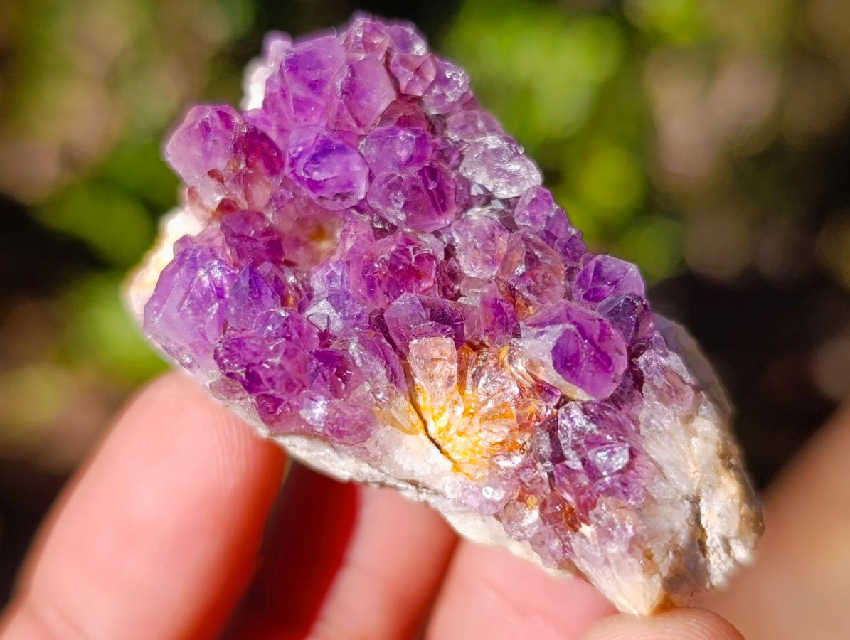 Natural Spirit Amethyst Clusters x 87 From Boekenhouthoek, South Africa - Toprock Gemstones and Minerals 