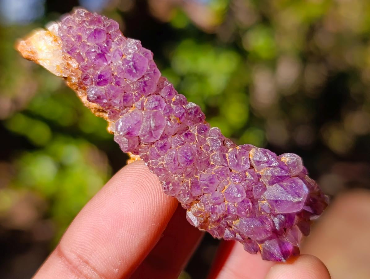 Natural Spirit Amethyst Clusters x 87 From Boekenhouthoek, South Africa - Toprock Gemstones and Minerals 