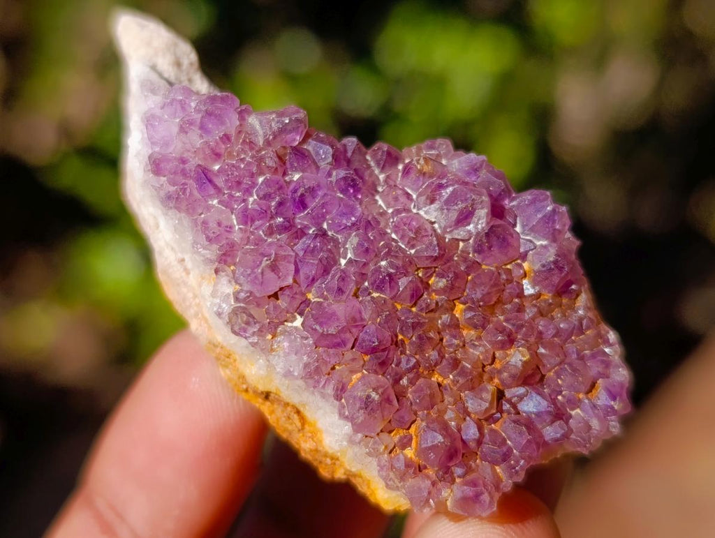 Natural Spirit Amethyst Clusters x 87 From Boekenhouthoek, South Africa - Toprock Gemstones and Minerals 