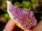 Natural Spirit Amethyst Clusters x 87 From Boekenhouthoek, South Africa - Toprock Gemstones and Minerals 