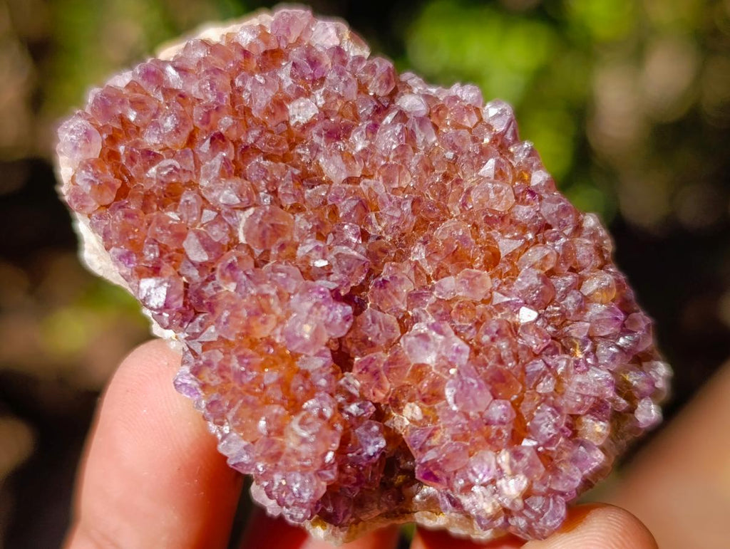 Natural Spirit Amethyst Clusters x 87 From Boekenhouthoek, South Africa - Toprock Gemstones and Minerals 