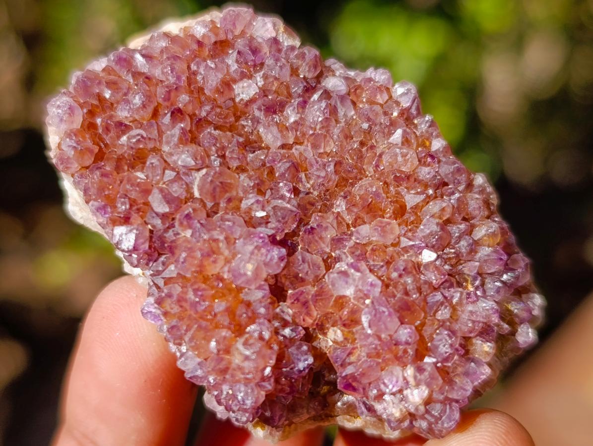 Natural Spirit Amethyst Clusters x 87 From Boekenhouthoek, South Africa - Toprock Gemstones and Minerals 