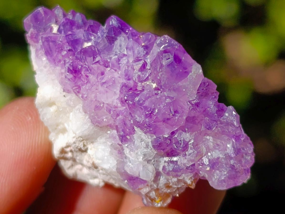 Natural Spirit Amethyst Clusters x 87 From Boekenhouthoek, South Africa - Toprock Gemstones and Minerals 