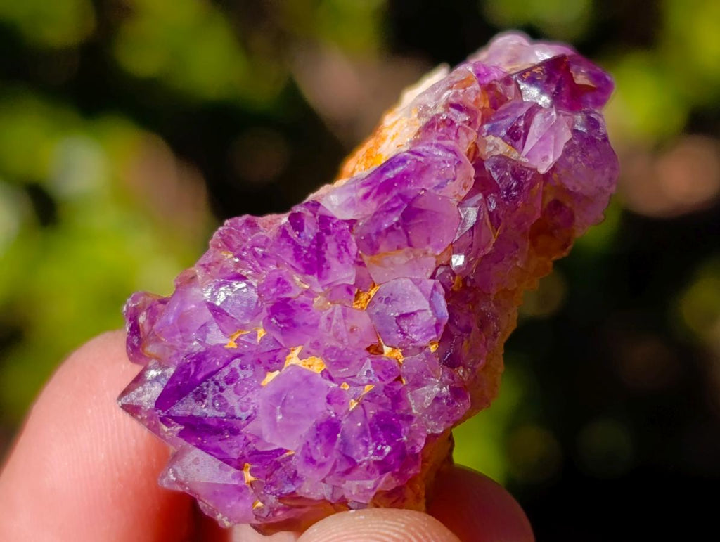 Natural Spirit Amethyst Clusters x 87 From Boekenhouthoek, South Africa - Toprock Gemstones and Minerals 