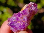 Natural Spirit Amethyst Clusters x 87 From Boekenhouthoek, South Africa - Toprock Gemstones and Minerals 
