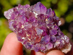 Natural Spirit Amethyst Clusters x 87 From Boekenhouthoek, South Africa - Toprock Gemstones and Minerals 