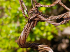 Hand Made Mixed Mineral Wire Wrap Trees x 2 From South Africa - Toprock Gemstones and Minerals 