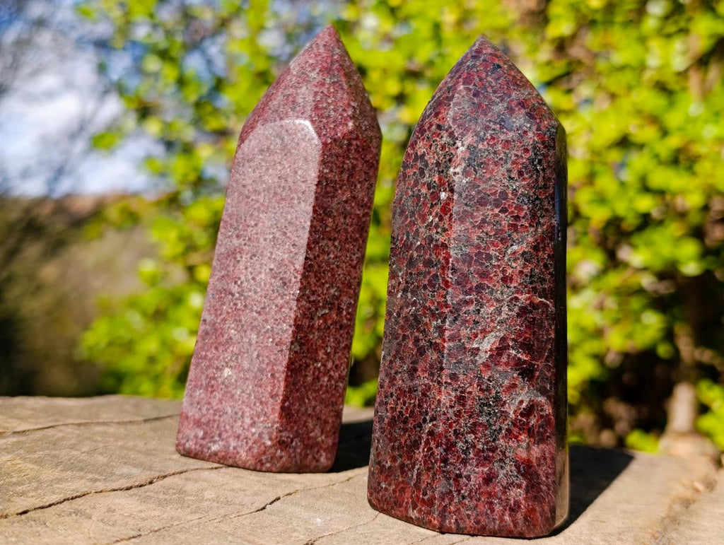 Polished Garnet Display Crystals x 2 From Mahajanga, Madagascar - Toprock Gemstones and Minerals 