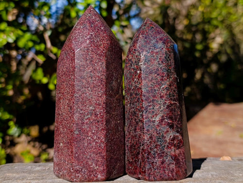 Polished Garnet Display Crystals x 2 From Mahajanga, Madagascar