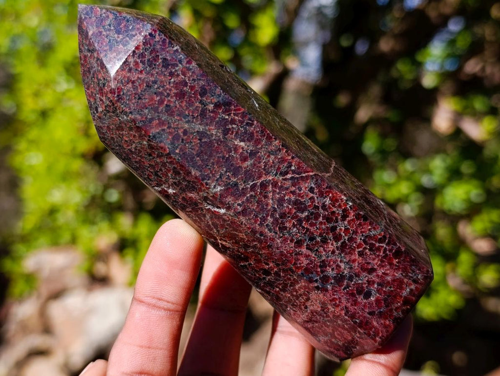 Polished Garnet Display Crystals x 2 From Mahajanga, Madagascar - Toprock Gemstones and Minerals 