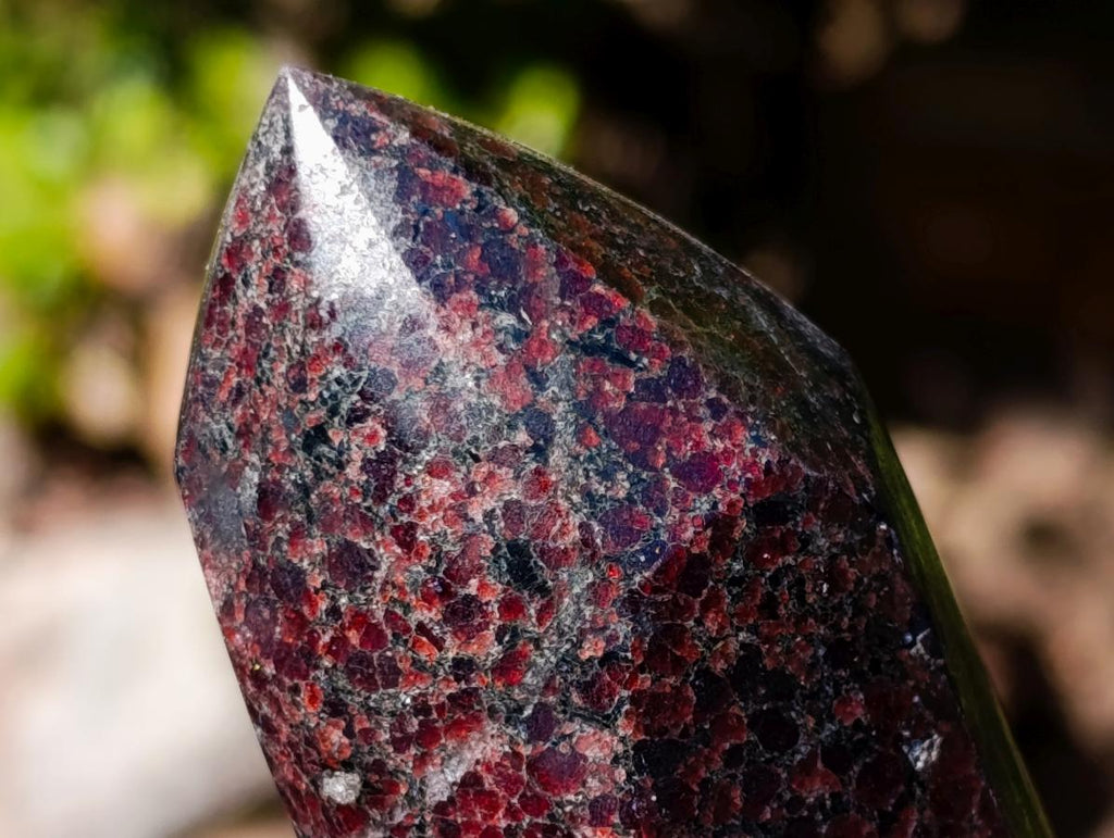 Polished Garnet Display Crystals x 2 From Mahajanga, Madagascar - Toprock Gemstones and Minerals 