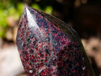 Polished Garnet Display Crystals x 2 From Mahajanga, Madagascar - Toprock Gemstones and Minerals 