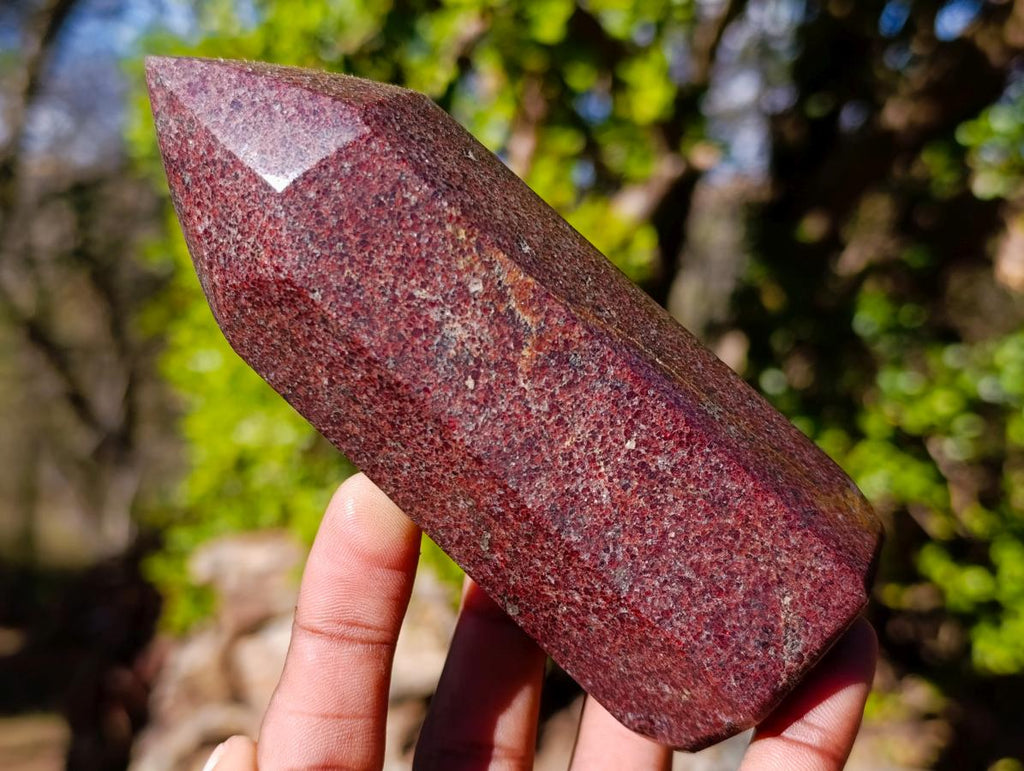 Polished Garnet Display Crystals x 2 From Mahajanga, Madagascar - Toprock Gemstones and Minerals 