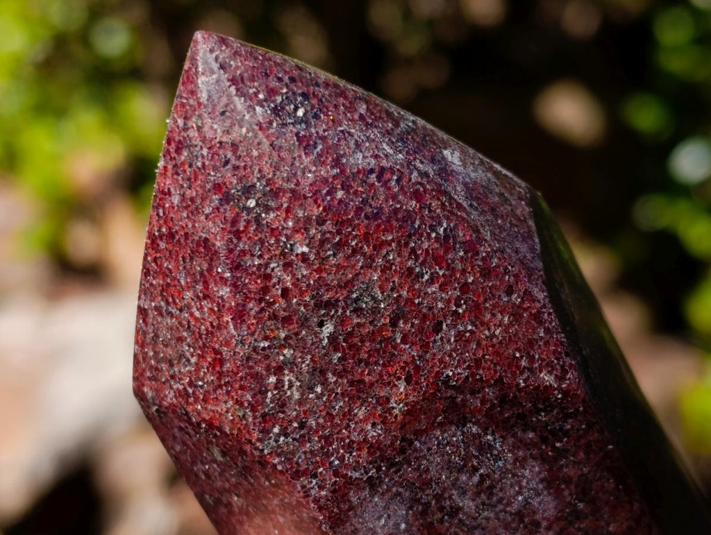 Polished Garnet Display Crystals x 2 From Mahajanga, Madagascar - Toprock Gemstones and Minerals 