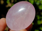 Polished Gemmy Rose Quartz Palm Stones x 20 From Madagascar - Toprock Gemstones and Minerals 