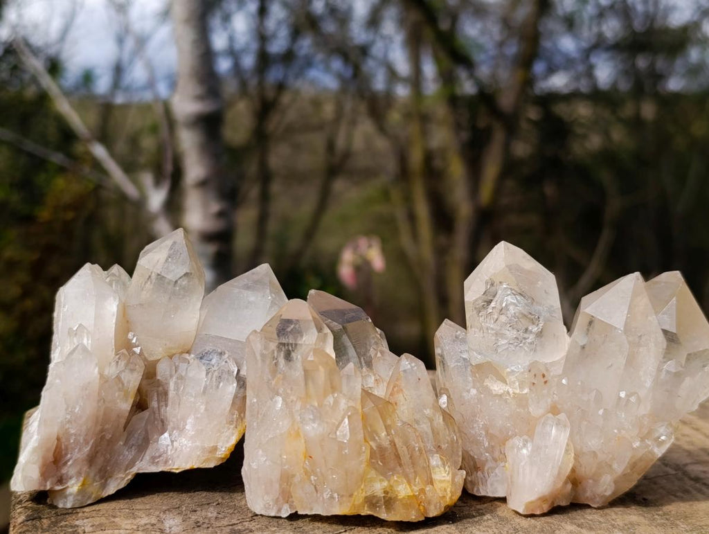 Natural Cascading Clear and Smokey Luena Quartz Crystals and Clusters x 12 From Luena, Congo - Toprock Gemstones and Minerals 