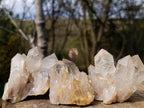Natural Cascading Clear and Smokey Luena Quartz Crystals and Clusters x 12 From Luena, Congo - Toprock Gemstones and Minerals 