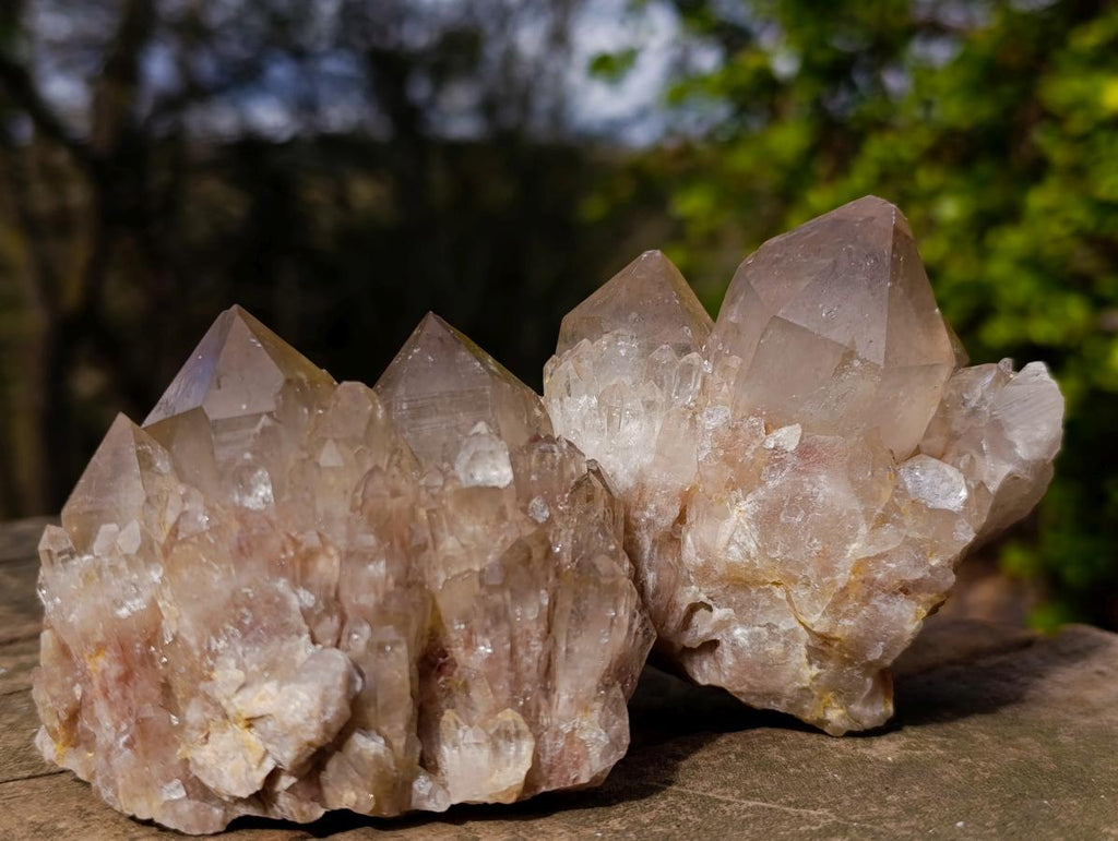 Natural Cascading Clear and Smokey Luena Quartz Crystals and Clusters x 12 From Luena, Congo - Toprock Gemstones and Minerals 
