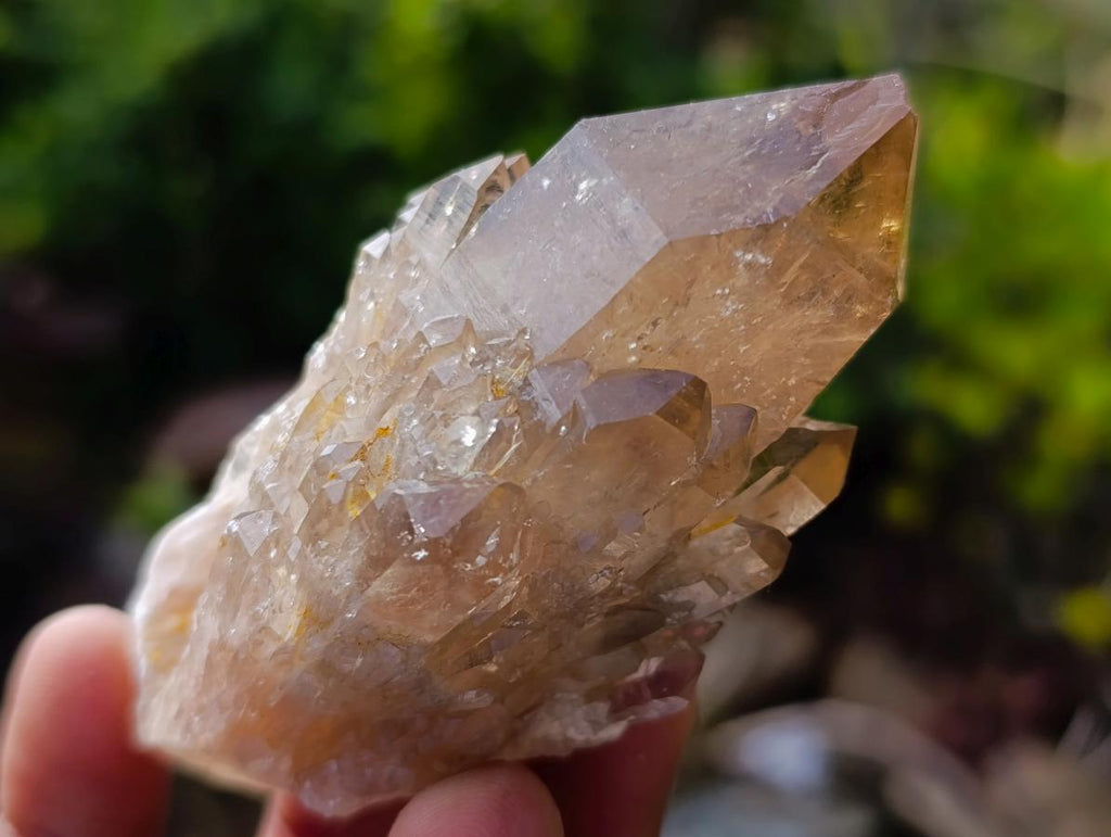 Natural Cascading Clear and Smokey Luena Quartz Crystals and Clusters x 12 From Luena, Congo - Toprock Gemstones and Minerals 