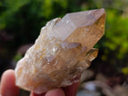 Natural Cascading Clear and Smokey Luena Quartz Crystals and Clusters x 12 From Luena, Congo - Toprock Gemstones and Minerals 