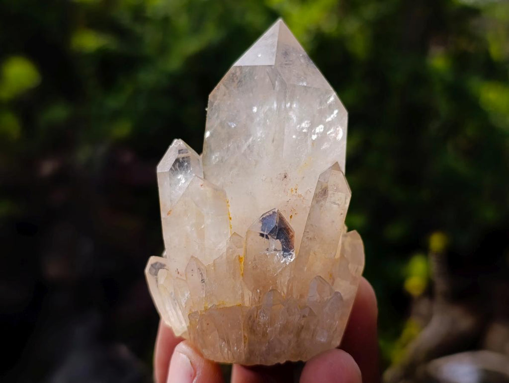 Natural Cascading Clear and Smokey Luena Quartz Crystals and Clusters x 12 From Luena, Congo - Toprock Gemstones and Minerals 