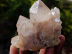 Natural Cascading Clear and Smokey Luena Quartz Crystals and Clusters x 12 From Luena, Congo - Toprock Gemstones and Minerals 