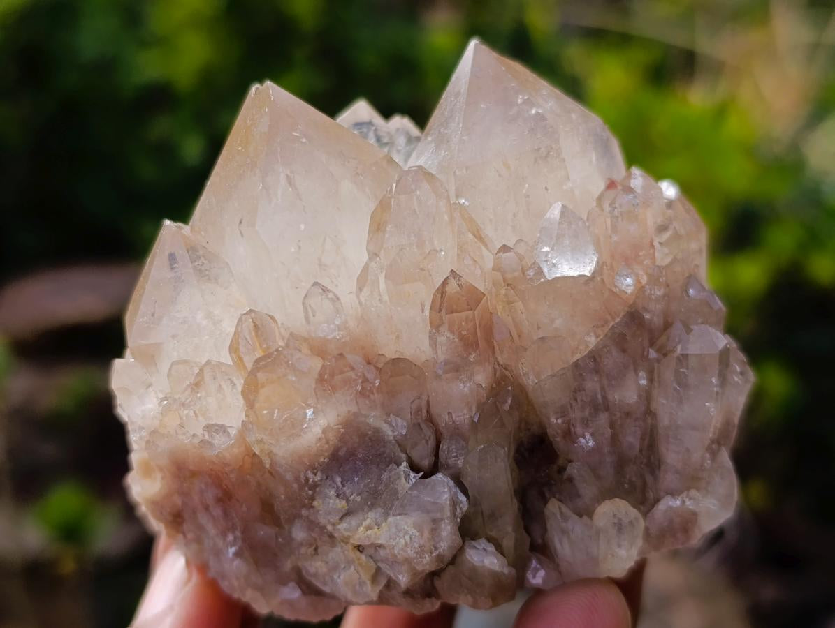 Natural Cascading Clear and Smokey Luena Quartz Crystals and Clusters x 12 From Luena, Congo - Toprock Gemstones and Minerals 