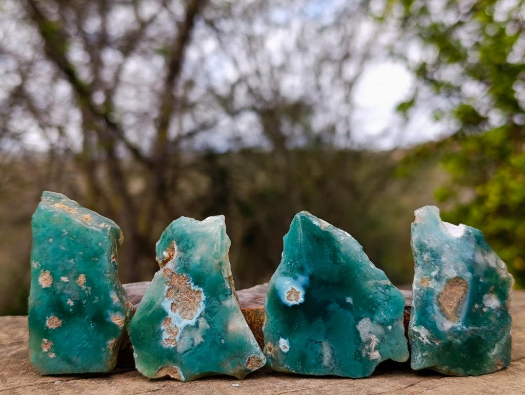 Polished One Side Mtorolite Chrysoprase Slices x 35 From Mutorashanga, Zimbabwe - Toprock Gemstones and Minerals 
