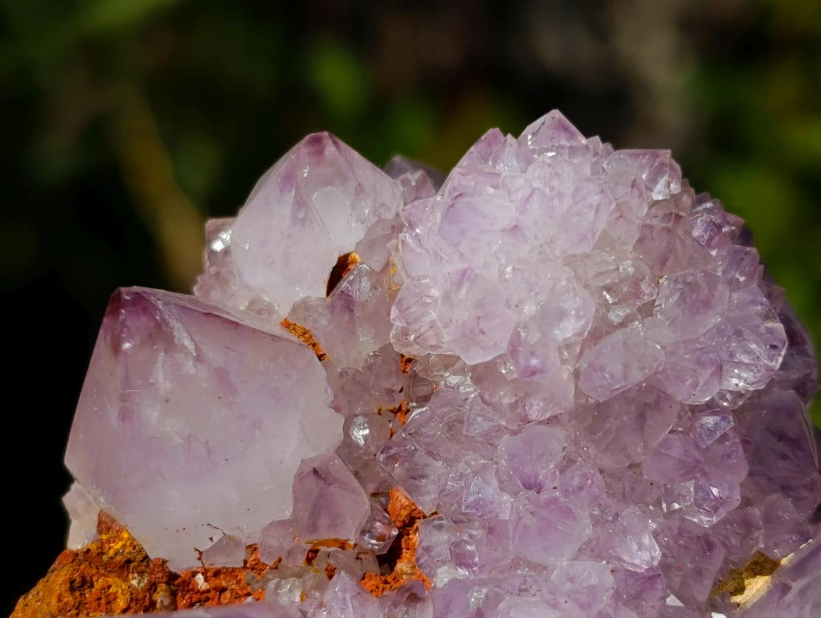Natural Spirit Amethyst Clusters x 6 From Boekenhouthoek, South Africa - Toprock Gemstones and Minerals 
