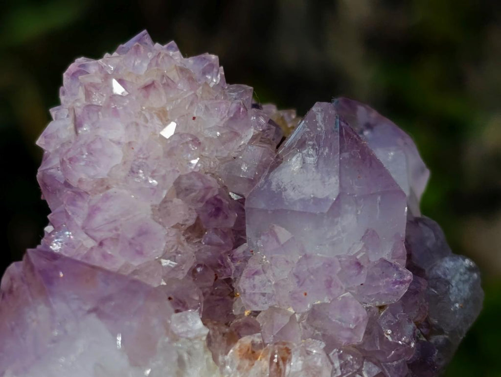 Natural Spirit Amethyst Clusters x 6 From Boekenhouthoek, South Africa - Toprock Gemstones and Minerals 