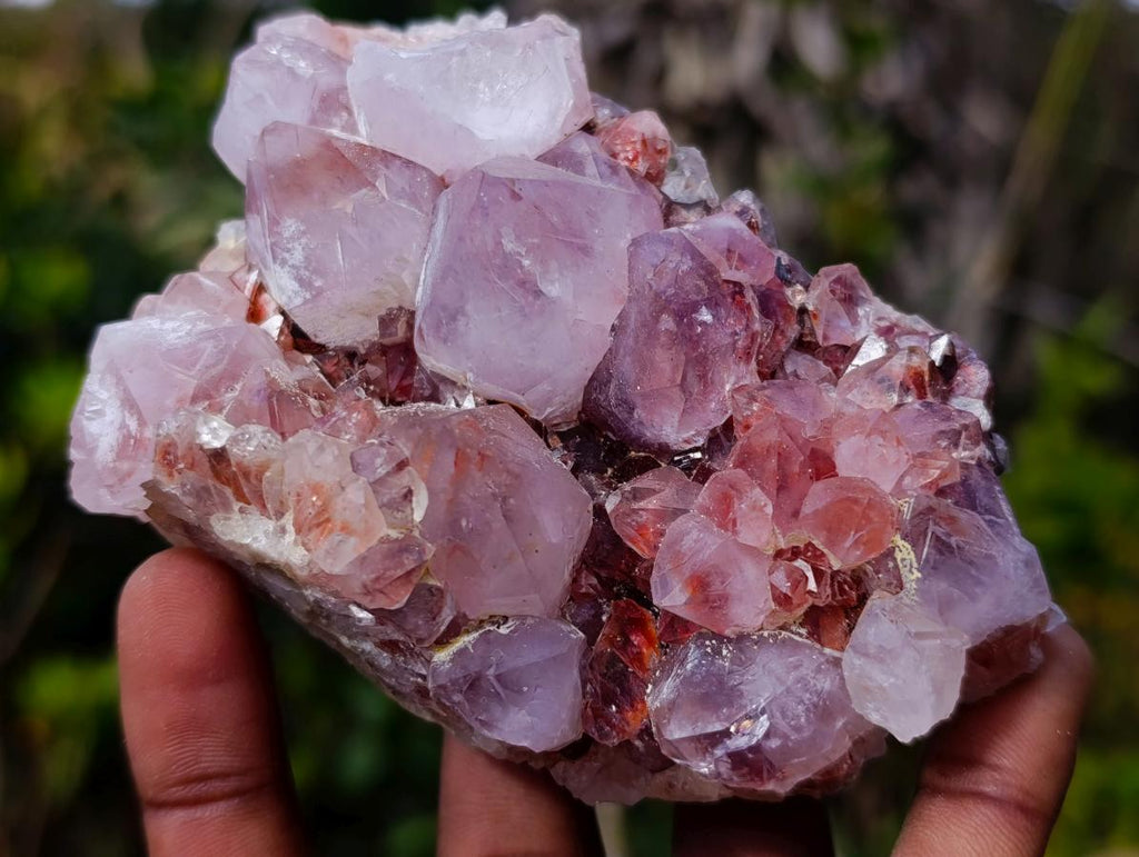 Natural Spirit Amethyst Clusters x 6 From Boekenhouthoek, South Africa - Toprock Gemstones and Minerals 