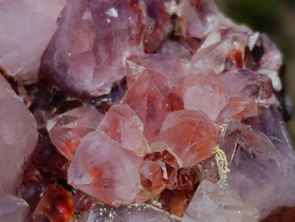 Natural Spirit Amethyst Clusters x 6 From Boekenhouthoek, South Africa - Toprock Gemstones and Minerals 