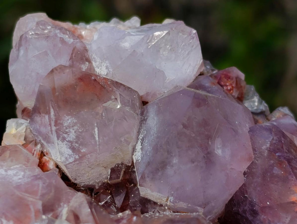 Natural Spirit Amethyst Clusters x 6 From Boekenhouthoek, South Africa - Toprock Gemstones and Minerals 