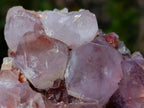 Natural Spirit Amethyst Clusters x 6 From Boekenhouthoek, South Africa - Toprock Gemstones and Minerals 